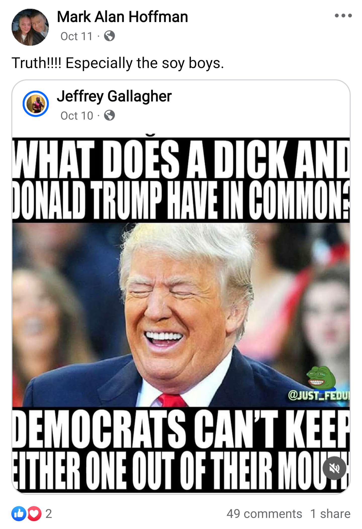 Screencap of a Facebook post by Mark Alan Hoffman saying: “Truth!!!! Especially the soy boys.”  Attached is a photo of Donald Trump captioned: “What does a dick and Donald Trump have in common?  Democrats can’t keep either out of their mouth”.  The post has two reactions, 49 comments and one share.