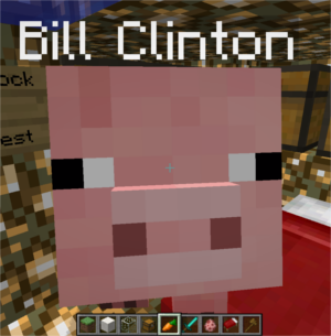 A Minecraft pig named Bill Clinton