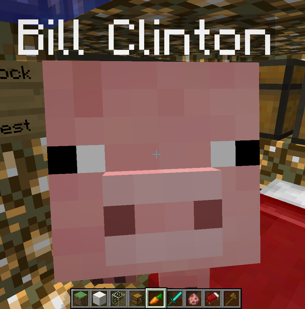 Minecraft pig named Bill Clinton